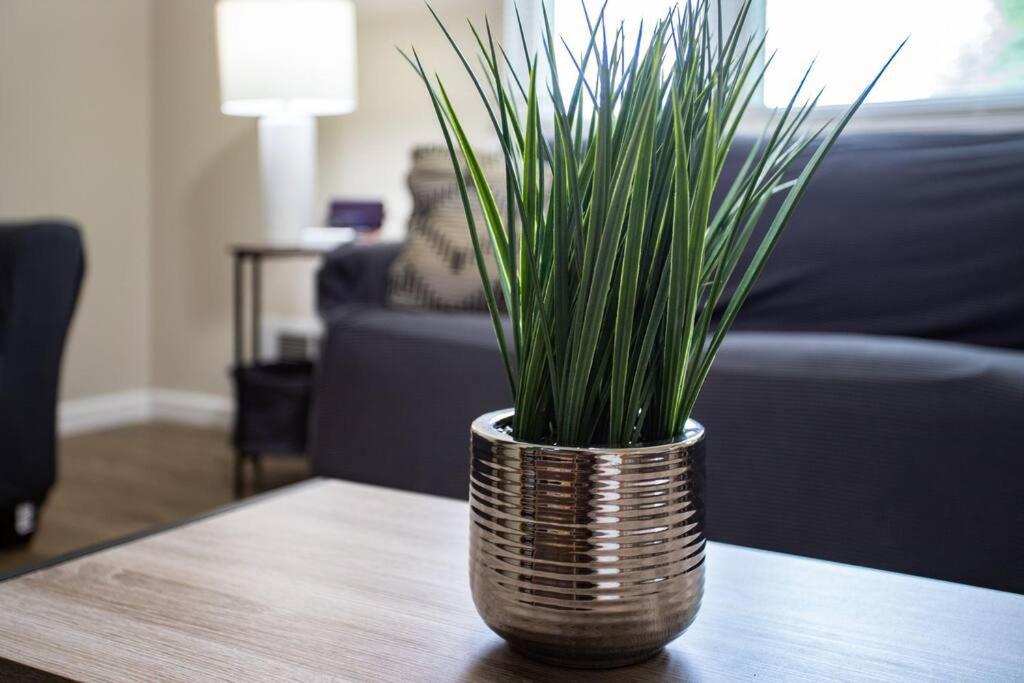 Appartement {Quiet Suburban Ranch Hot Tub} Mins Arpt/Rit/Dwnt à Rochester Extérieur photo